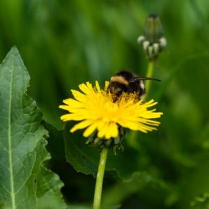 Meet your Posher, Micah